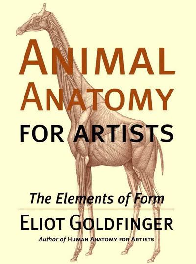 animal anatomy for artists