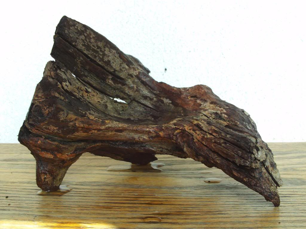 OMG CHEAP DRIFTWOOD FOR SALE IN SOCAL! OMG CHEAP TOO
