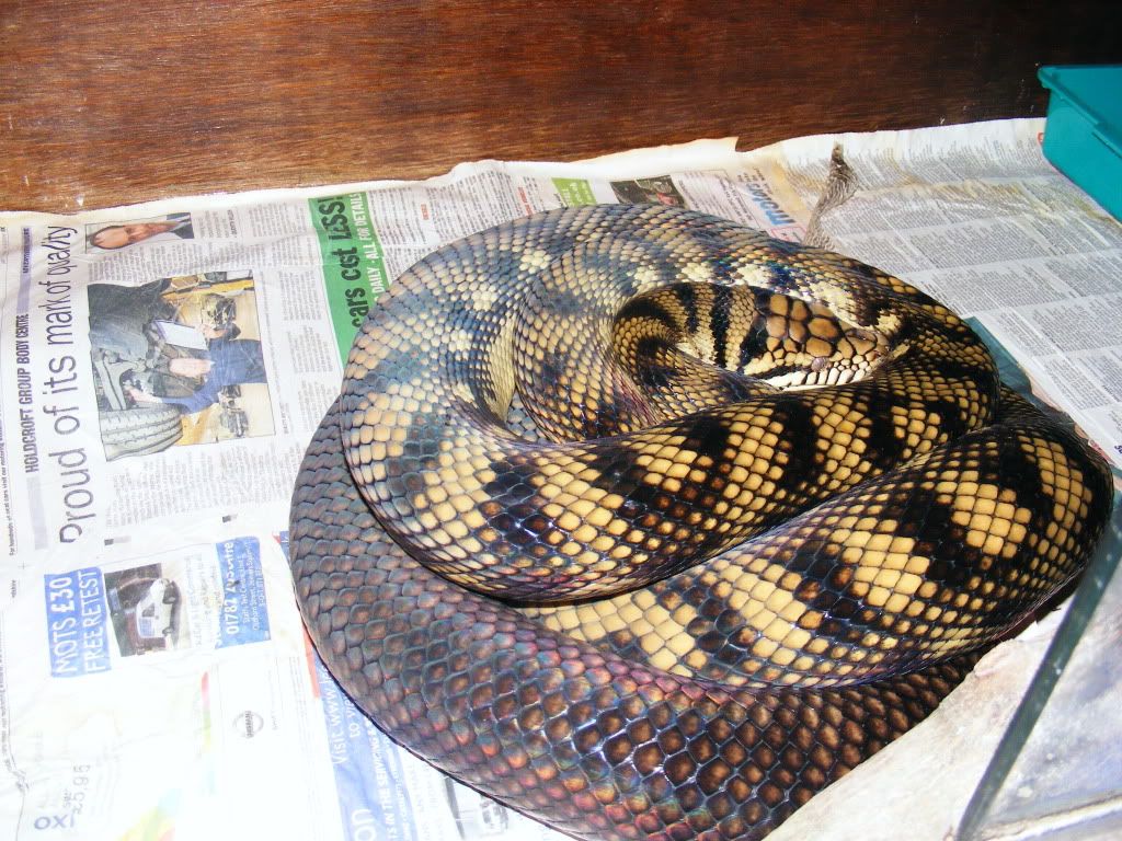 DSCF6848.jpg