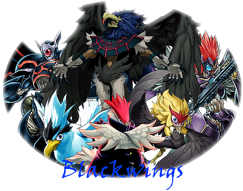 BlackwingsFinal2.gif