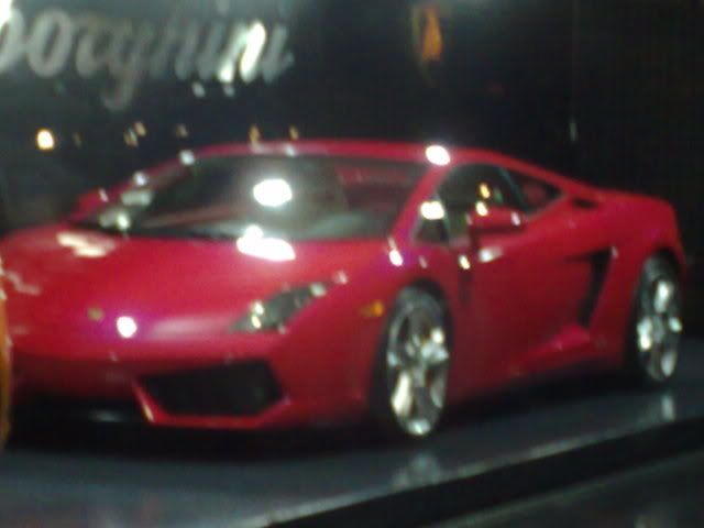 25012009096.jpg