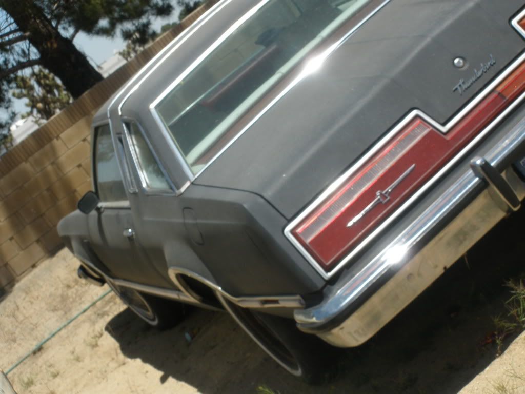 77 T BIRD FOR SALE READY FOR PAINT 2000