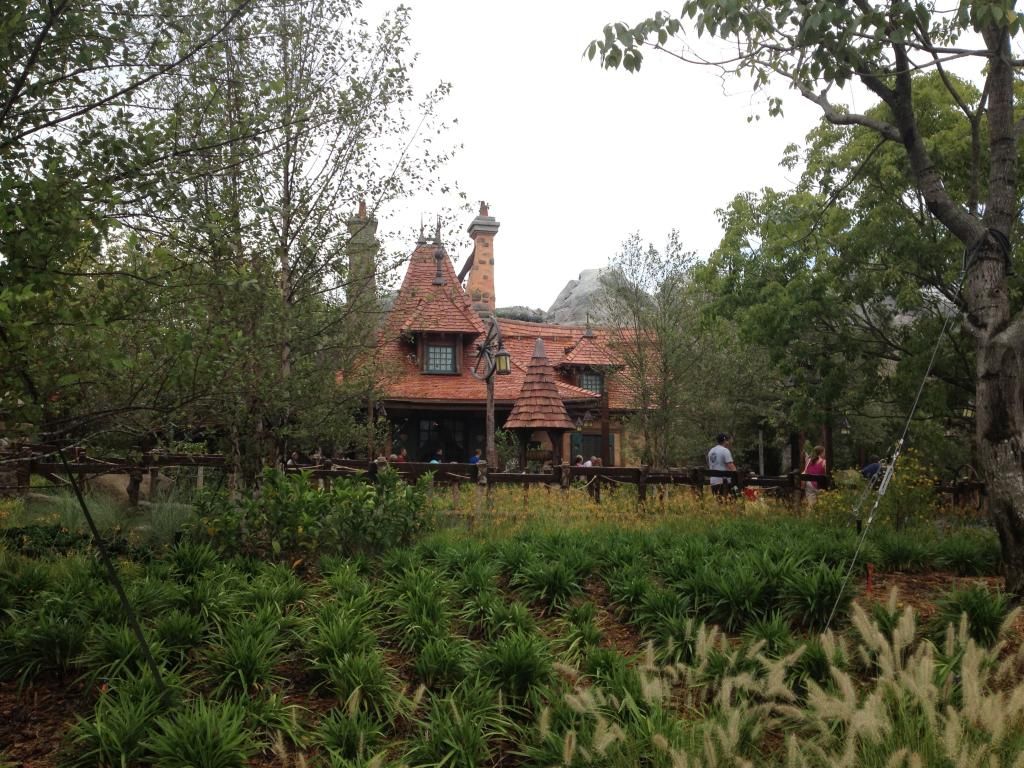 new fantasyland belles cottage