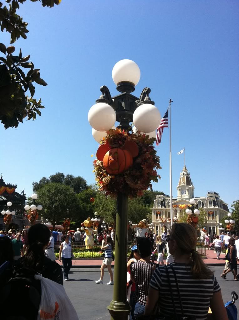 mickey pumpkin magic kingdom