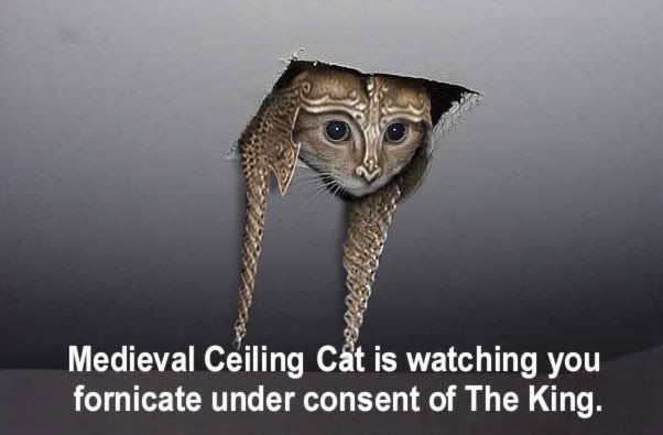 Medieval Ceiling Cat Pictures, Images and Photos