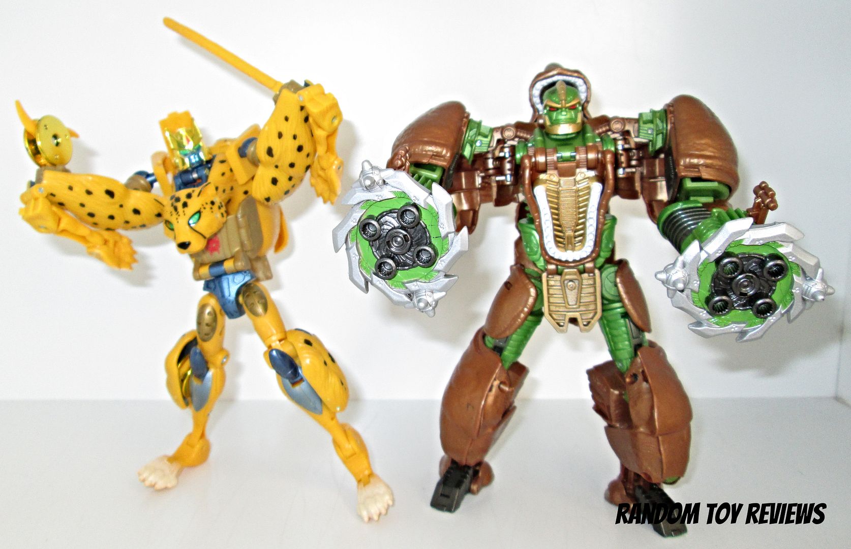 generations rhinox