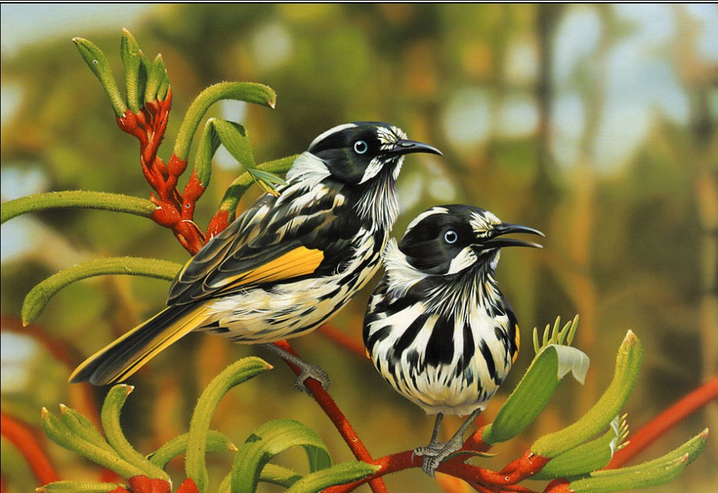 Beautiful-Birds-Wallpapers_zps8029fb54.png