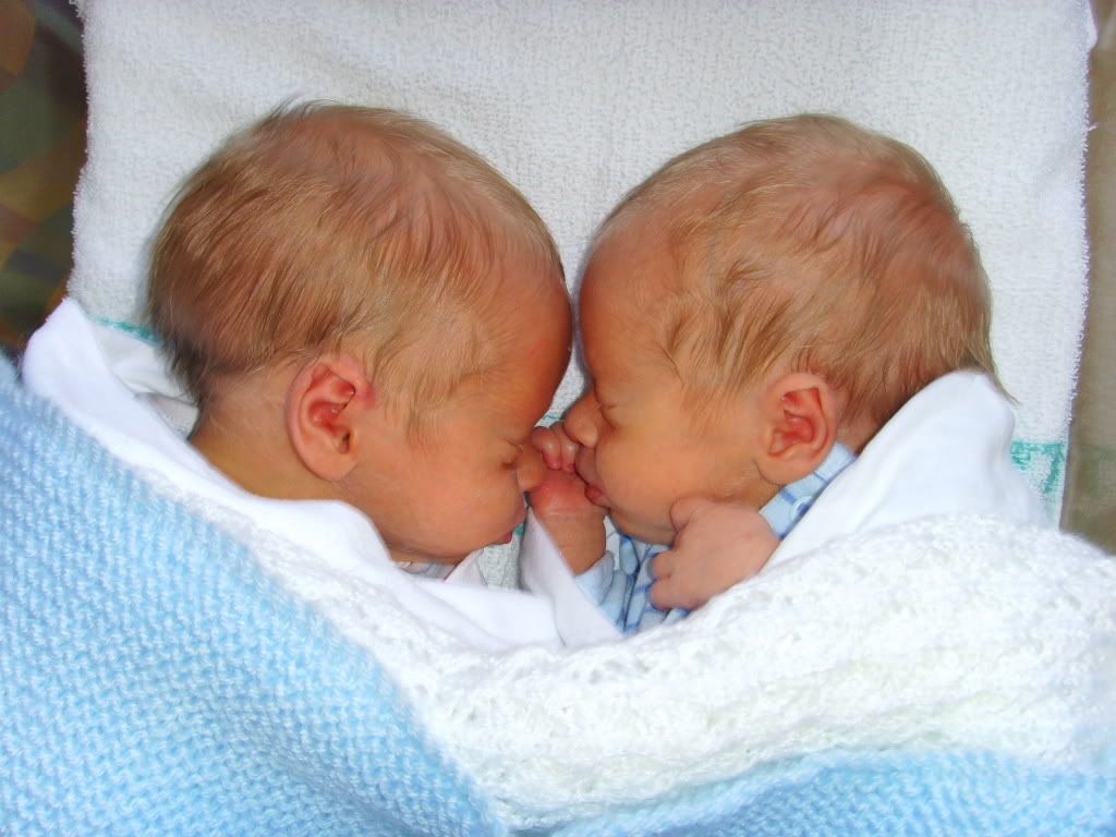 Baby Twin Boys