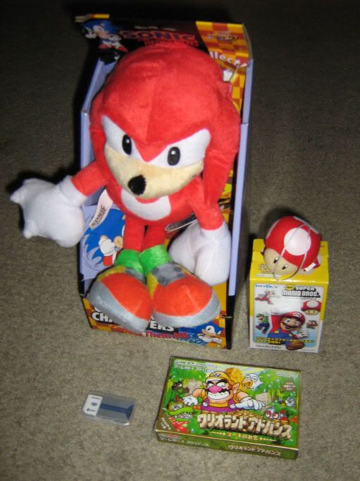 knuxwario.jpg