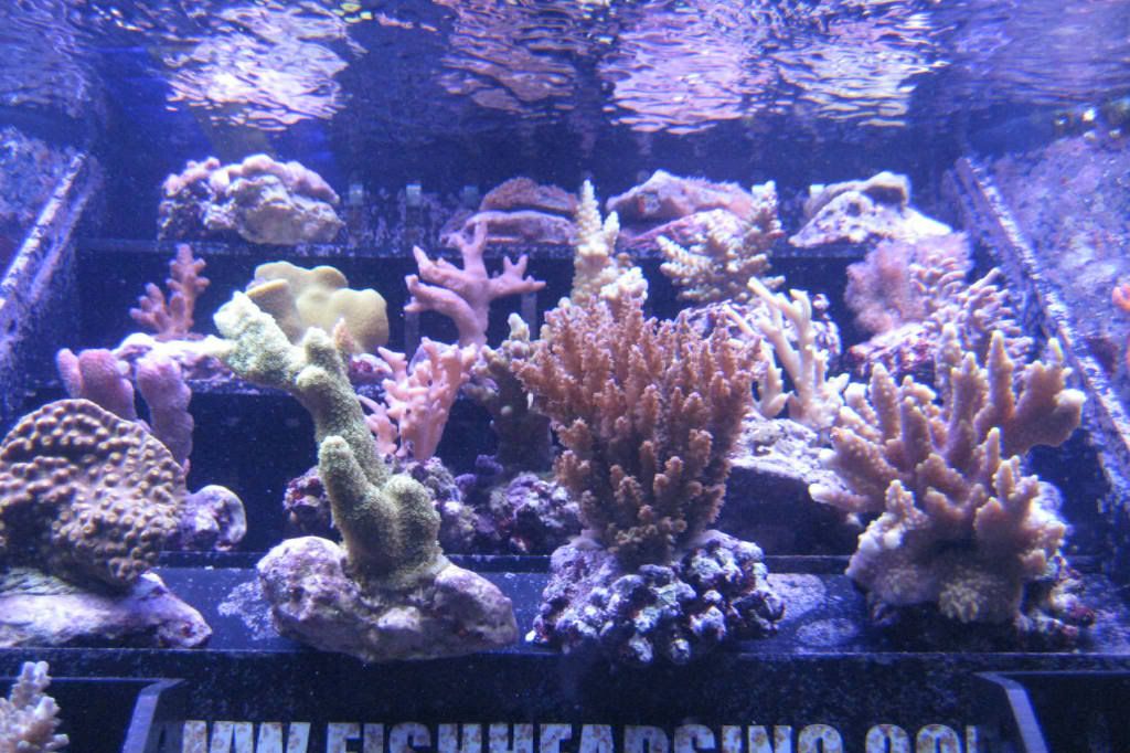 34g006.jpg