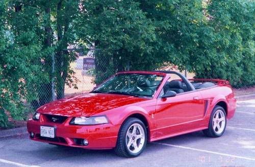 2001 Stang