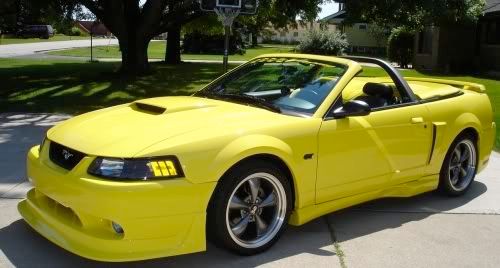 2002 Mustang