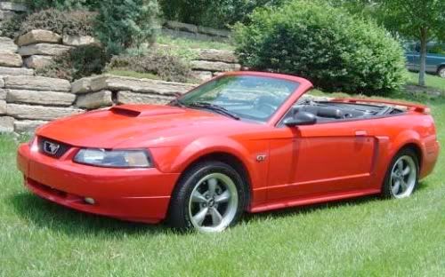 2002 Stang