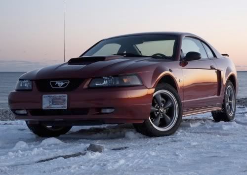 2003 Mustang
