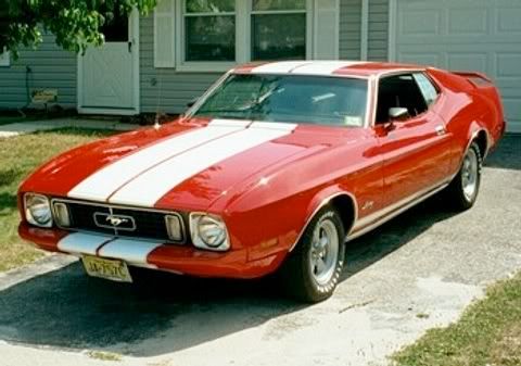 The 1973 Mustang model year was sad in a way for many Mustang fans