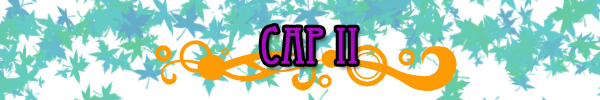 Cap II(2)