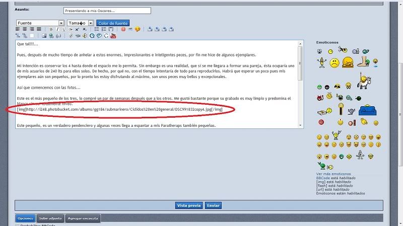 Imagen