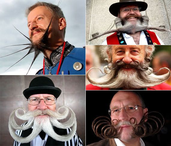 [Image: beards.jpg]