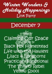 Winter Wonders & Holiday Happenings