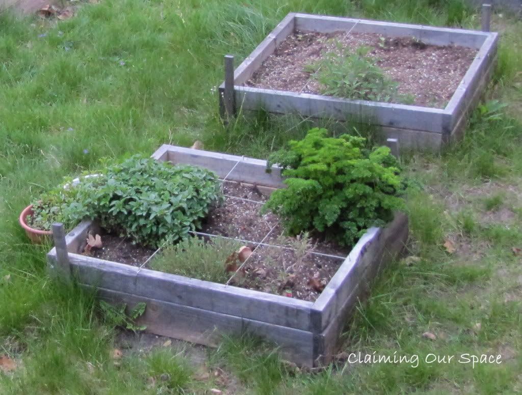 Claiming Our Space Herb Garden