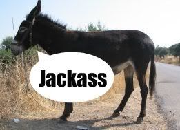 Jackass Pictures, Images and Photos