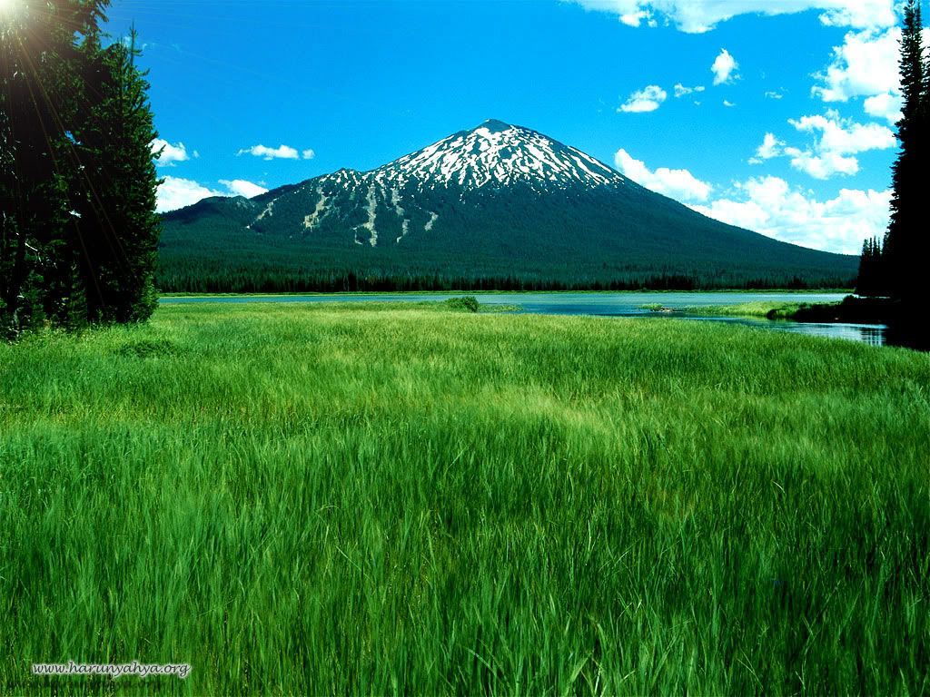 manzara Pictures, Images and Photos