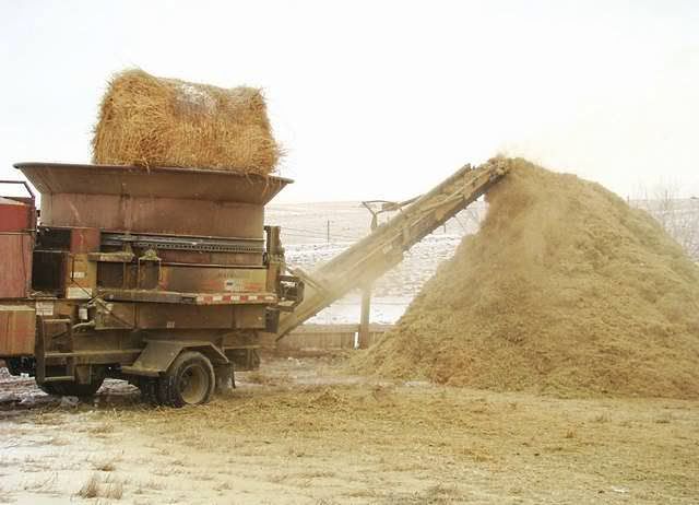 Feeding Cows in a Big Way - Cattle