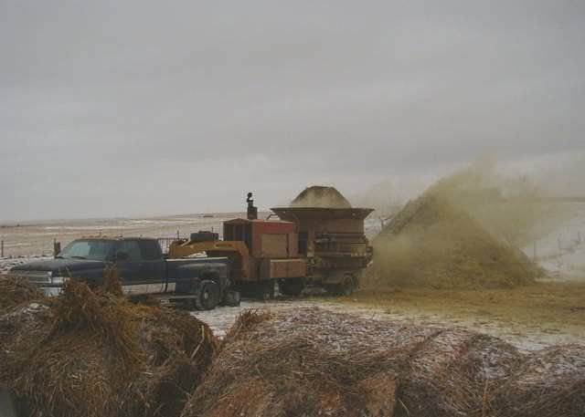 Feeding Cows in a Big Way - Cattle