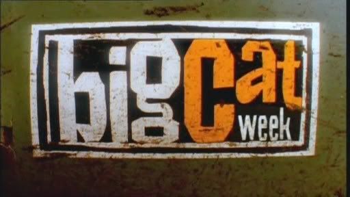 Big Cat Week   Series 4 (Jan 2008) [DVD (iso)] preview 0