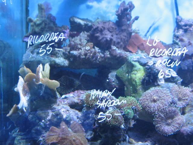 IMG_1084.jpg