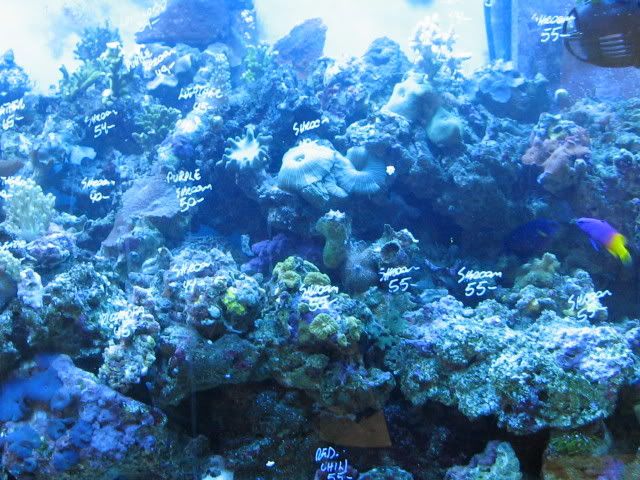 IMG_1092.jpg
