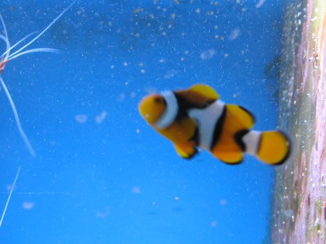 IMG_1121.jpg