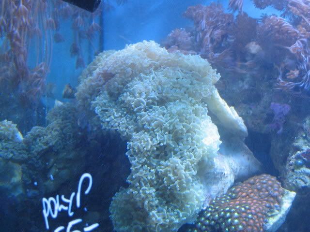IMG_1138.jpg