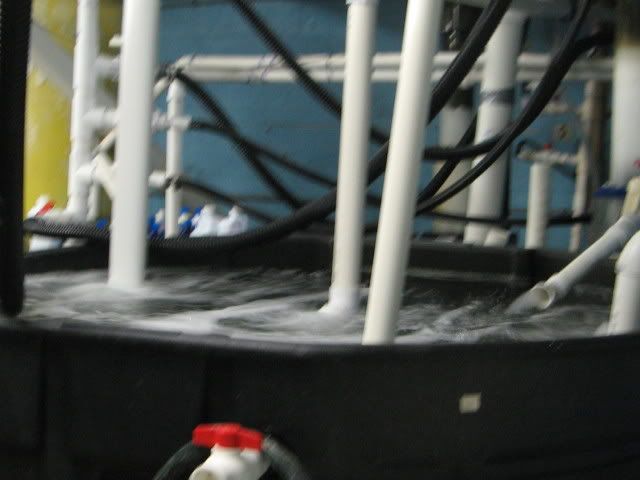 IMG_1142.jpg
