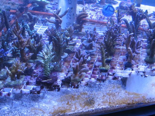 IMG_1169.jpg