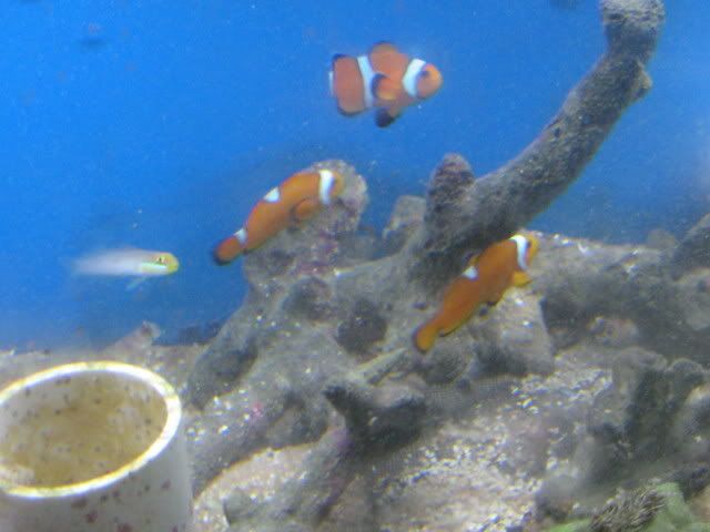 IMG_1172.jpg