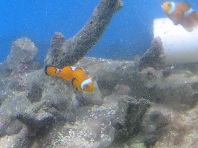 IMG_1173.jpg