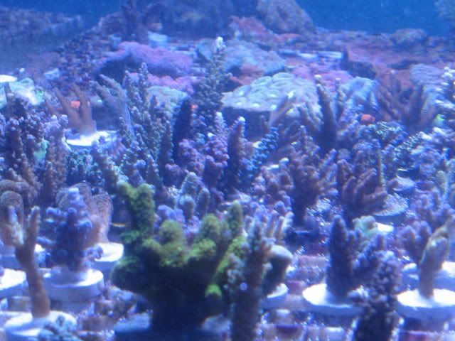 IMG_1179.jpg