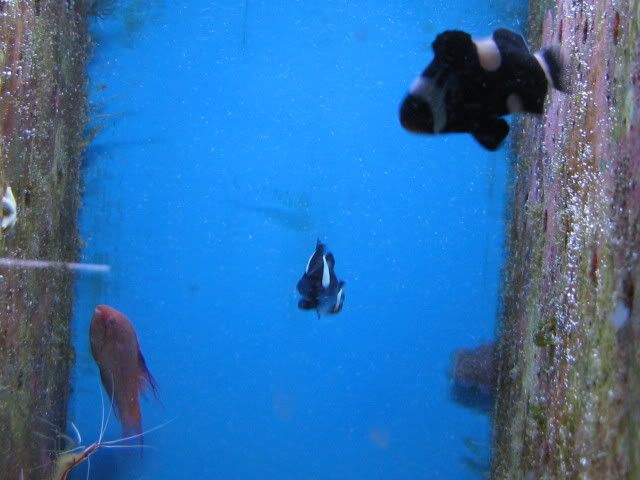 IMG_1182.jpg