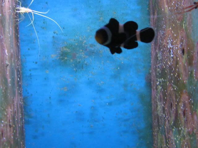 IMG_1183.jpg