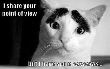 eyebrow-kitty.jpg