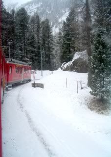 bernina21.jpg