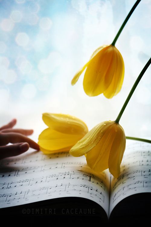 Caribbean Blue by fhrankee