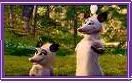 over the hedge possums Pictures, Images and Photos