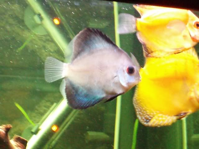 blue.jpg