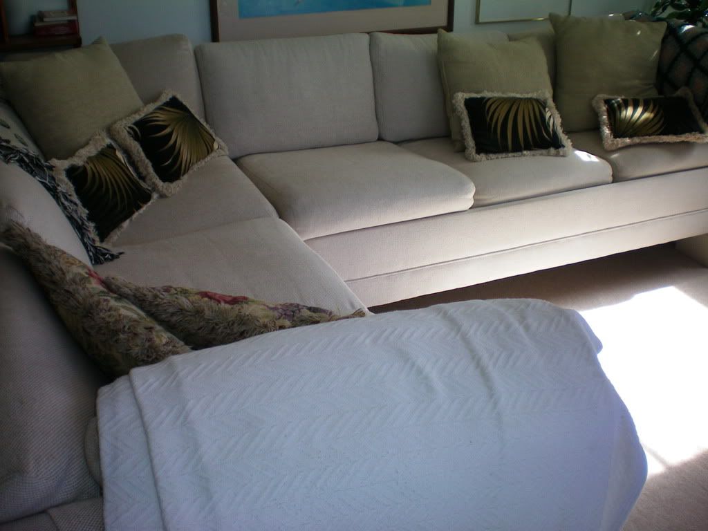 couch sleeper sofa
