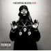 Memphis Bleek - 534