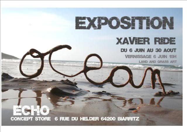 http://i248.photobucket.com/albums/gg195/callmelexav/graphisme/flyoceanrecto.jpg