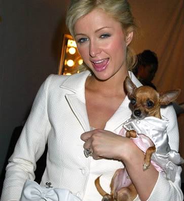 British TV execs must not have heard how Paris Hilton abandoned her cat 