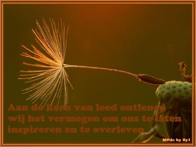 dekern.jpg de kern van het leven picture by zwilgje